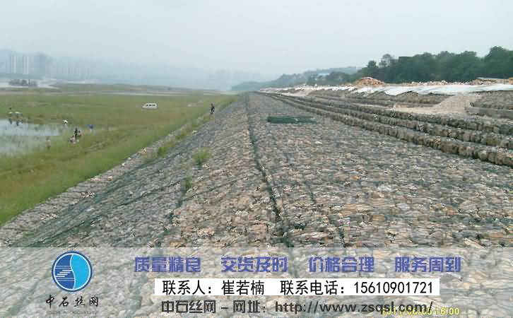 生態格網