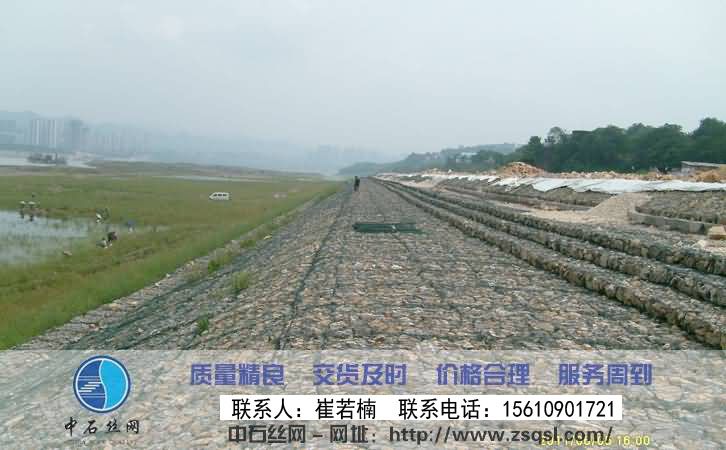 生態格網