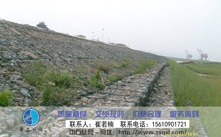 生態格網
