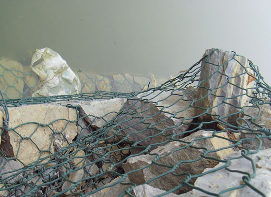 生態(tài)格網(wǎng)